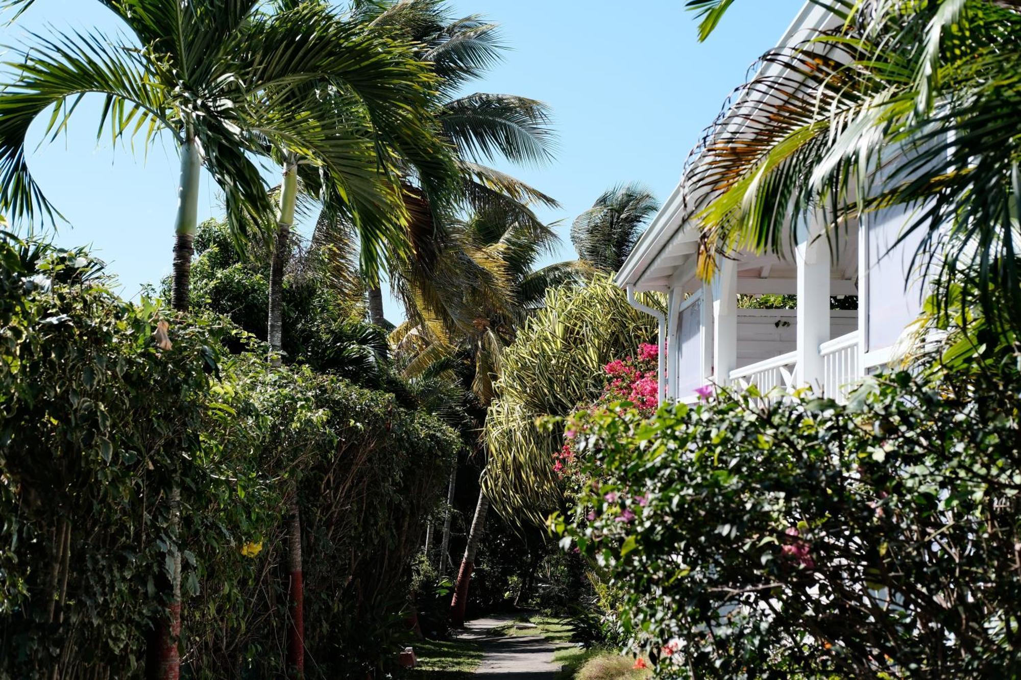 Nid Kreyol Villa แซนต์-อาน ภายนอก รูปภาพ